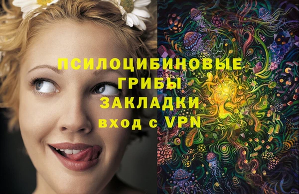 прущие крисы Арсеньев