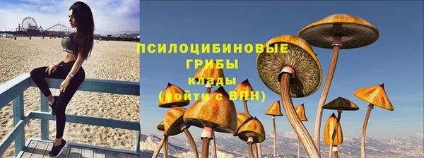 прущие крисы Арсеньев