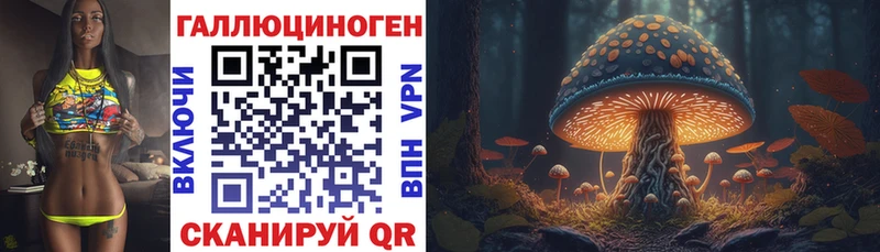 Псилоцибиновые грибы GOLDEN TEACHER  купить наркоту  Малгобек 